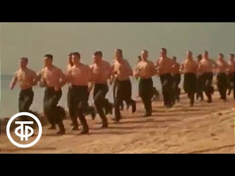 Видео: Такая граница. Ко дню пограничника. (1976)