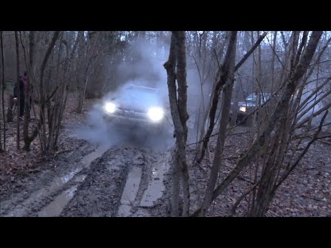 Видео: Как он это делает?!Мне его ЖАЛКО((Ночь а мы в лесу торчим,Путь к братской могиле