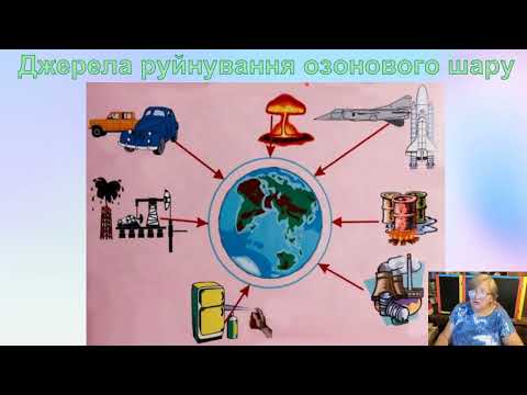 Видео: Виставка малюнків, фотографій, плакатів до Міжнародного охорони озонового шару