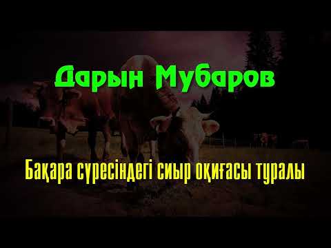 Видео: Бақара сүресіндегі сиыр оқиғасы туралы - Дарын Мубаров