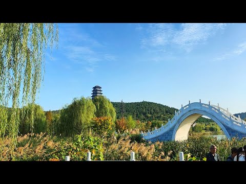 Видео: 徐州园博园 Экспо в Сюйчжоу #путешествия #旅游中国 #китайскийдлявсех