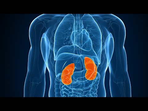 Видео: Почки. Что нужно для хорошей работьі?##coralclub 