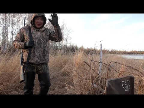 Видео: ОХОТА НА ТУРПАНА 2023 . 2 . DUCK HUNTING 2023 IN SIBERIA. KOLYMA/ PART 2