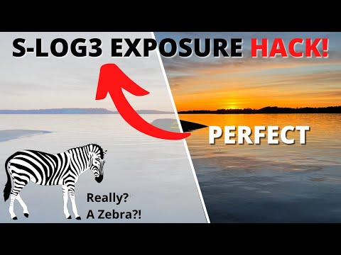 Видео: Как ЛЕГКО правильно экспонировать S-LOG3 — с помощью Zebras!