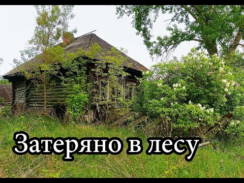 Видео: Покинутая деревня в лесах Мордовии. Повсюду волчьи следы. Один посреди леса.