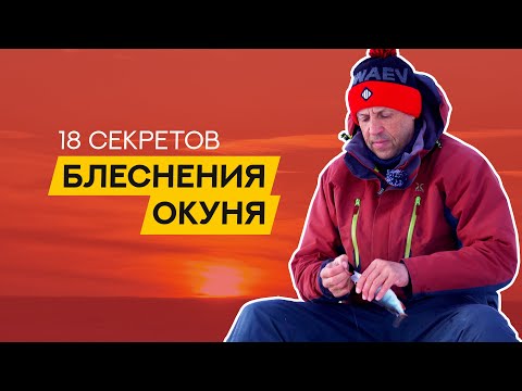 Видео: 18 СЕКРЕТОВ ловли ОКУНЯ на БЛЕСНУ