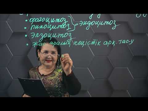 Видео: Жасуша мембранасы арқылы заттар тасымалдануының типтері. 1 бөлім. 11 сынып.