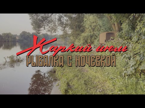 Видео: Фидер летом в жару. Рыбалка с ночевкой на Москва реке