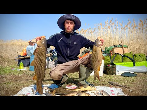 Видео: РЫБАЛКА НА ПРОТОКАХ РЕКИ ИЛИ.ЧАСТЬ 1 ПЕРВЫЕ ВЕСЕННИЕ САЗАНЫ.ТАКИХ ДИКИХ МЕСТ НЕ ВСТРЕТИШЬ НЕ ГДЕ.