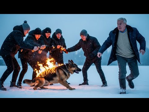 Видео: Когда снег гасит пламя: История верности, которая изменяет сердца