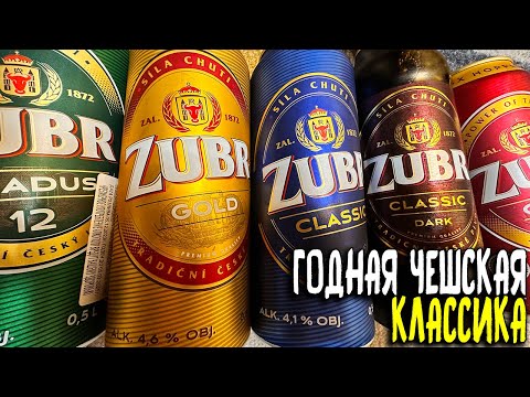 Видео: #438: ОБЗОР ПИВА ZUBR (чешское пиво).