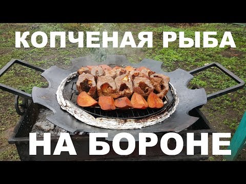 Видео: КОПЧЕНИЕ РЫБЫ НА БОРОНЕ СУДАК ЩУКА РЕЦЕПТЫ СЮФ