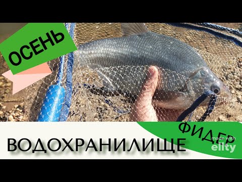 Видео: Где искать леща осенью?!