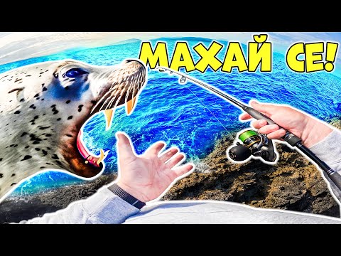 Видео: МАХАЙ СЕ! ТЮЛЕН НИ ИЗПЛАШИ РИБИТЕ! РИБОЛОВ НА ЛАВРАК И ЦУПУРА на остров Лефкада