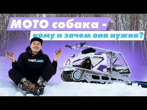 Видео: МОТО собака - кому и зачем она нужна? Обзор мотобуксировщика Sputnik!