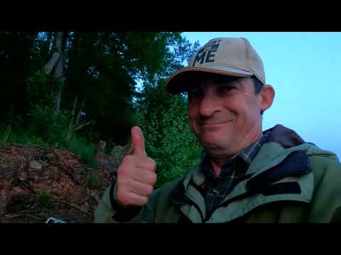 Видео: НОЧНОЙ СУДАК НА СВИРИ 2025