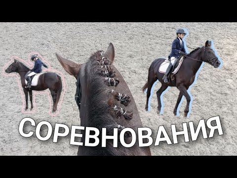 Видео: СОРЕВНОВАНИЯ              #конныйспорт #соревнования