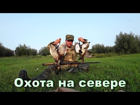 Видео: Лучшая охота на утку с подхода. Чуть не утопил ружьё и видеокамеру. Снял заброшенную сеть.