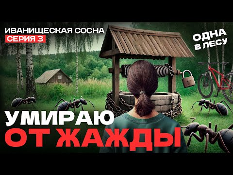 Видео: Уехала одна на велосипеде с ночёвкой в лес. Иванищенская сосна, серия 3.