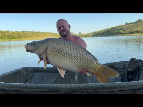 Видео: Ново място. Много риби. И една, която спира дъха – 21.800 кг! Водоема вече знае кои са SN Baits.✌️