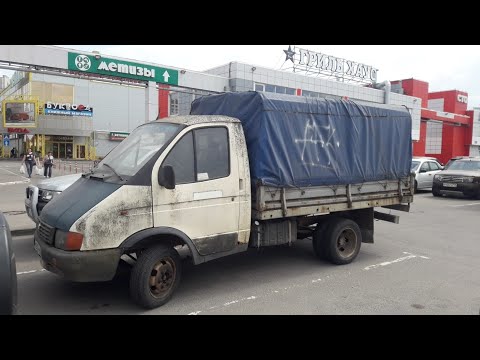 Видео: ЧТО С ГАЗЕЛЬЮ ! ? / МЕДЛЕННО НО ВЕРНО ЗАНИМАЕМСЯ ГАЗЕЛЬЮ