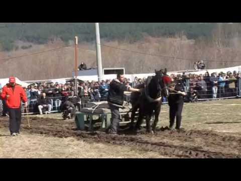 Видео: Тодоровден в село Калугерово част 2 - 28.02.2015 год.