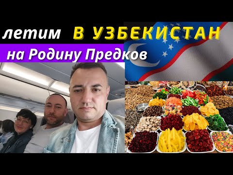 Видео: Передумали, Летим в Ташкент а не в Дубай, в Первый раз в Узбекистан | Самарканд и Бухара с Родными