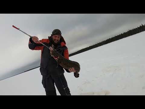 Видео: 10 Дней в Лесной Сказке. Отдых, рыбалка, быт  - март 2022 года. 2 часть