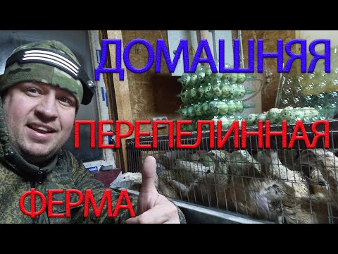 Видео: ДОМАШНЯЯ ПЕРЕПЕЛИННАЯ ФЕРМА, ИТОГИ ГОДА