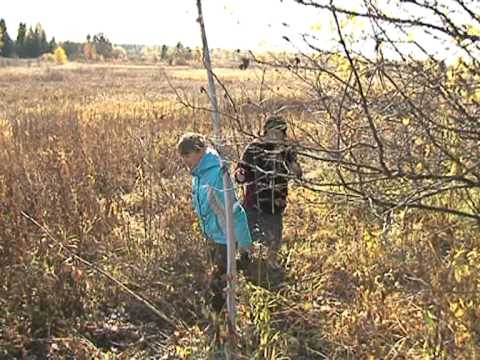 Видео: Коми инкогнито  Ыб 08 11 2011