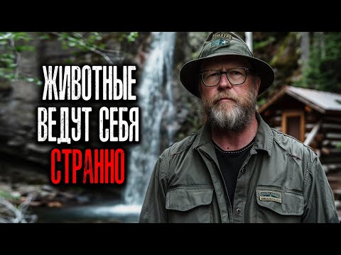 Видео: ОСТОРОЖНО Йеллоустоун: Животные ведут себя странно — Мы знаем, что причина не в них!