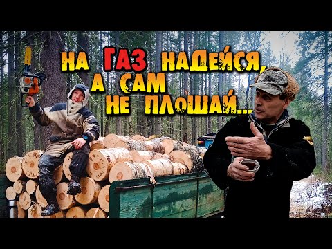 Видео: ЗАГОТОВКА ДРОВ В ЛЕСУ. ЖИЗНЬ В ДЕРЕВНЕ. ГАЗ УЖЕ БЛИЗКО. ТРАКТОР Т40. СОРОКОВКА.