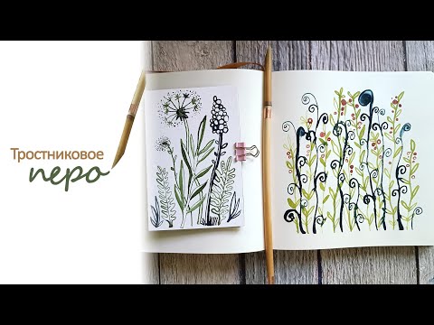 Видео: Пробую рисовать тростниковым пером✒️. Распаковка, обзор. 