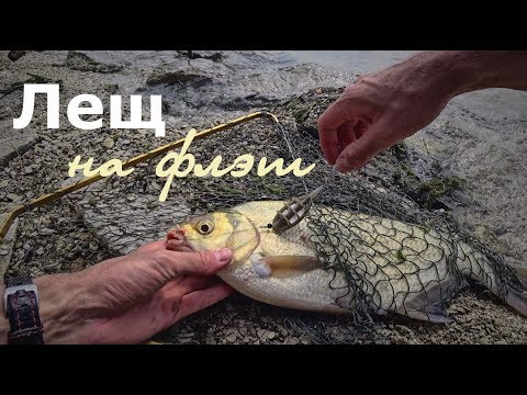 Видео: Ловля леща на флэт-фидер или "горох-рулит".