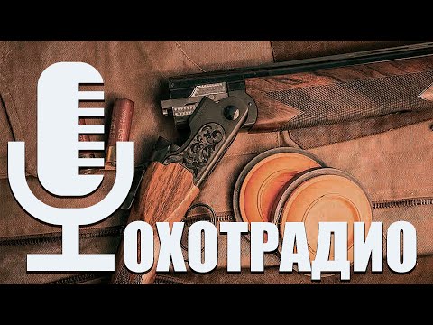 Видео: что происходи с охотой 2024 году??? Жесть🔴ОхотРадио