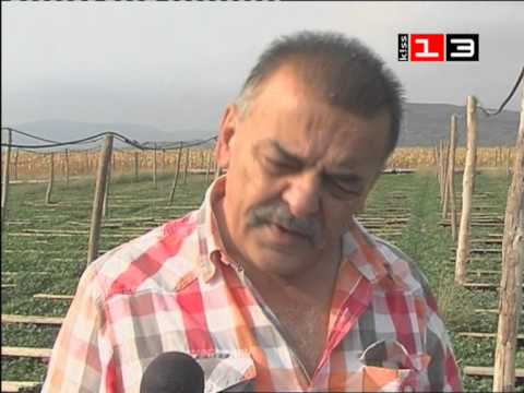 Видео: ФЕРМА ЗА ОХЛЮВИ