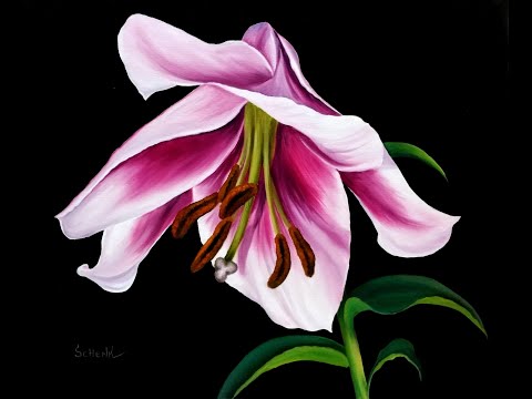Видео: Пурпурная лилия маслом. Рисуем лилию.