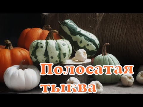 Видео: Тыква полимерная глина.мастер класс.ручная работа
