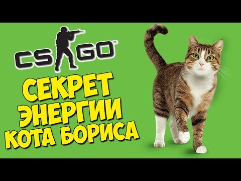 Видео: МАНЬЯК И СЕКРЕТ ЭНЕРГИИ КОТА БОРИСА - CS:GO Прятки (КС ГО Маньяк)