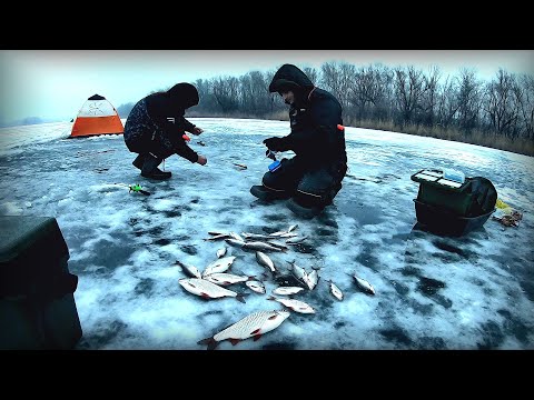 Видео: Весь лід в рибі !!! Роздачі тарані на всі бабки!!!