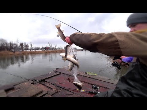 Видео: Что Творит Эта Снасть! Пришел за рыбой не на Рынок а на Речку / Хитрая китайская и уловистая снасть!