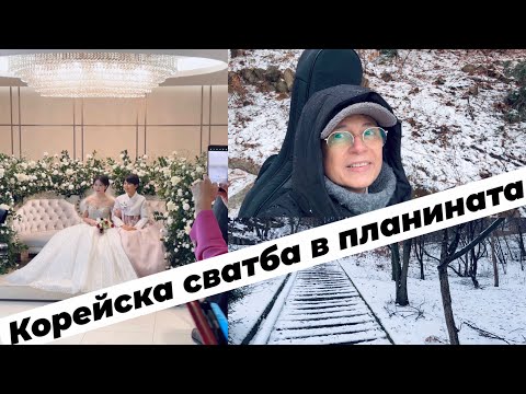 Видео: Свирих на КОРЕЙСКА СВАТБА  в ПЛАНИНАТА 👰‍♂️🙍‍♂️
