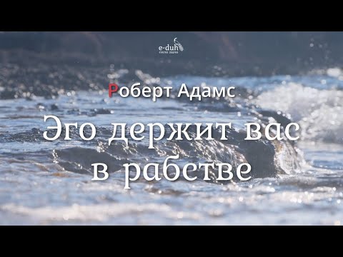 Видео: Роберт Адамс - Эго держит вас в рабстве [Nikosho]