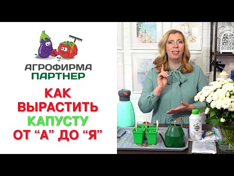 Видео: КАК ВЫРАСТИТЬ КАПУСТУ. ОТ “A” ДО “Я”