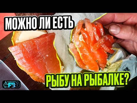 Видео: Приметы на рыбалке, работают или это суеверие?