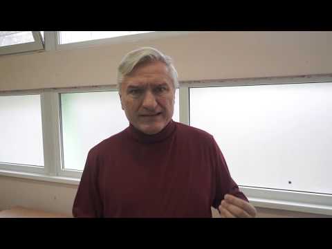 Видео: Какие типы не подходят для бизнеса и почему? Гуманитарная соционика Гуленко. Вопросы-ответы