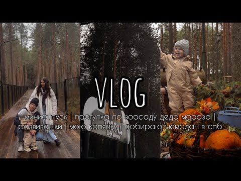 Видео: VLOG 24 | МИНИОТПУСК | ПРОГУЛКА ПО ЗООСАДУ ДЕДА МОРОЗА | РАЗВИВАШКИ | СОБИРАЮ ВЕЩИ В СПБ