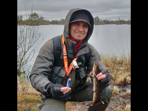 Видео: рыбалка на синявинских карьерах .щука на воблеры