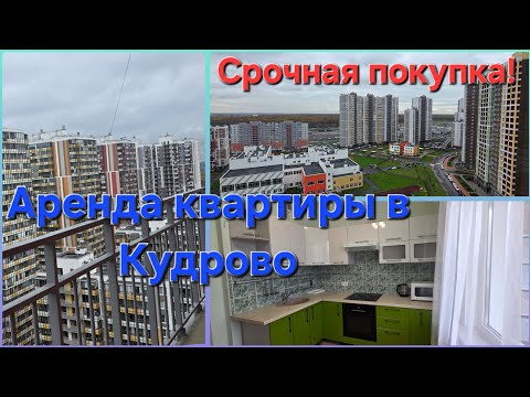 Видео: Новая квартира в аренду и срочные клиенты на покупку