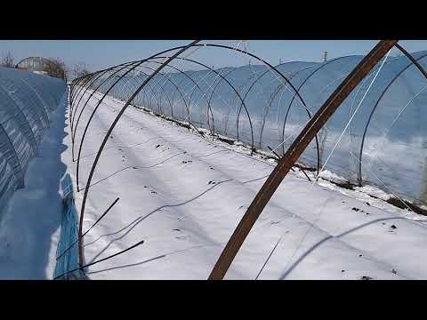 Видео: Балаганы, которым не страшен снегопад